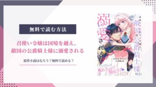 召使い令嬢は国境を越え敵国の公爵騎士様に溺愛される 原作 小説 なろう