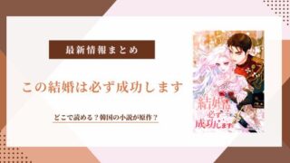 この結婚は必ず成功します 原作