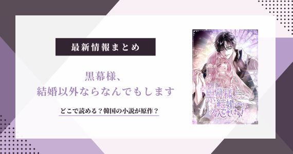 黒幕様、結婚以外ならなんでもします 原作 韓国