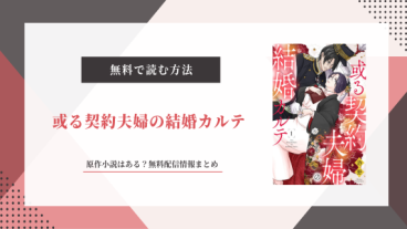 或る契約夫婦の結婚カルテ 原作 小説