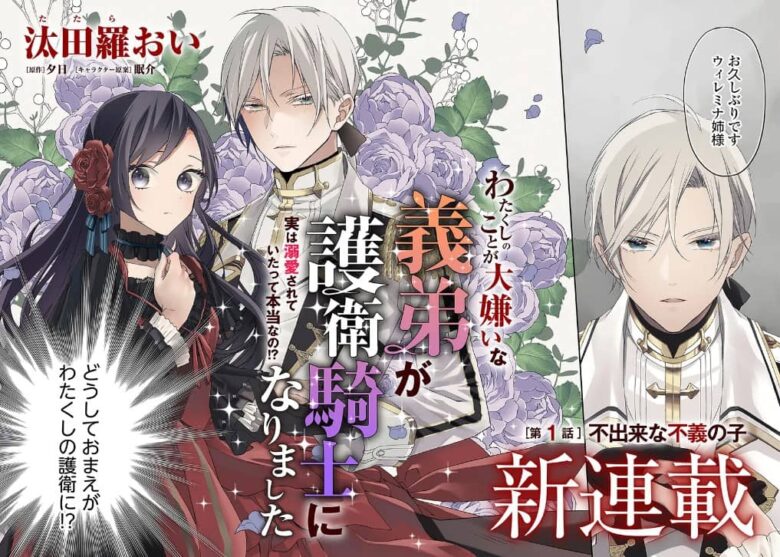 私のことが大嫌いな義弟 ネタバレ