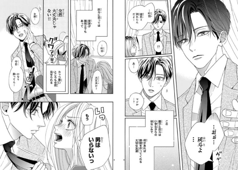 君たち愛が重すぎる あらすじ