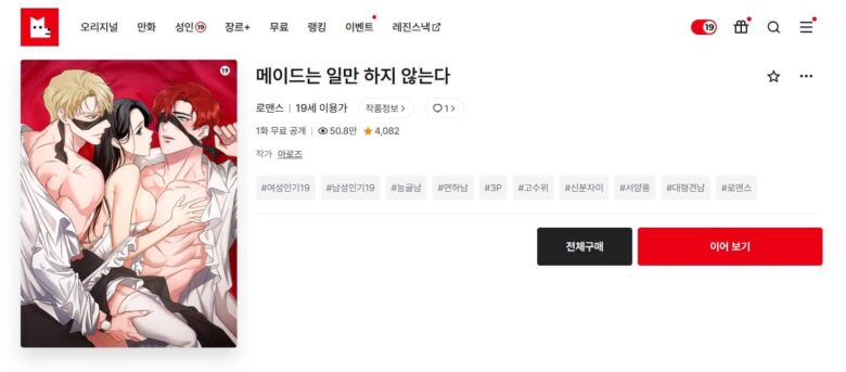 メイドは仕事だけではありません 韓国