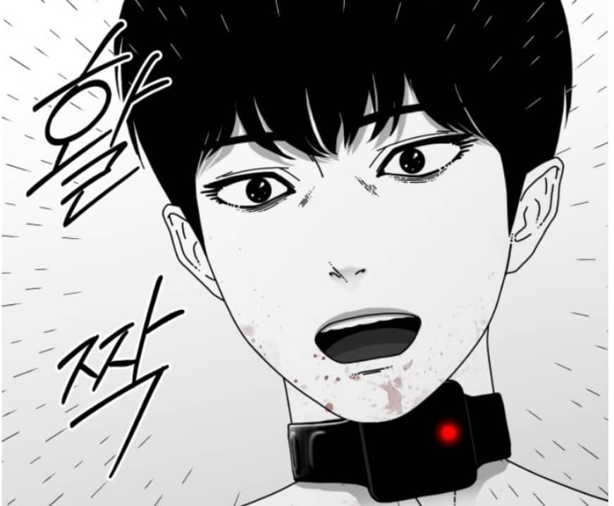シンタイ 神体 ネタバレ