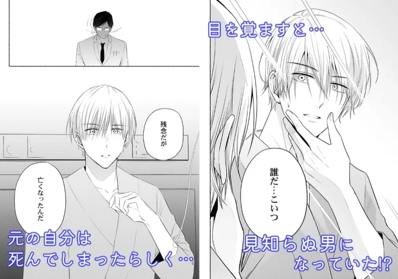 他人として生き返った夫は、変わらず妻を愛してる ネタバレ